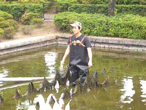 �Y�f�@�ۂɂ���Ȃɉ������������t���܂���