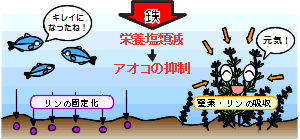 ú�����ݡ�Ŵ