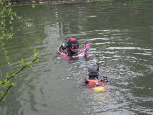 炭素繊維水質浄化材4