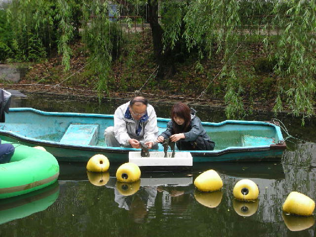 炭素繊維水質浄化材7