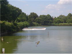 ��������������Ӽ̿�