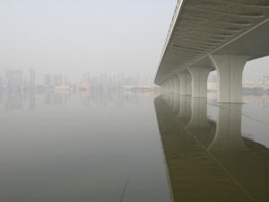 沙湖大橋